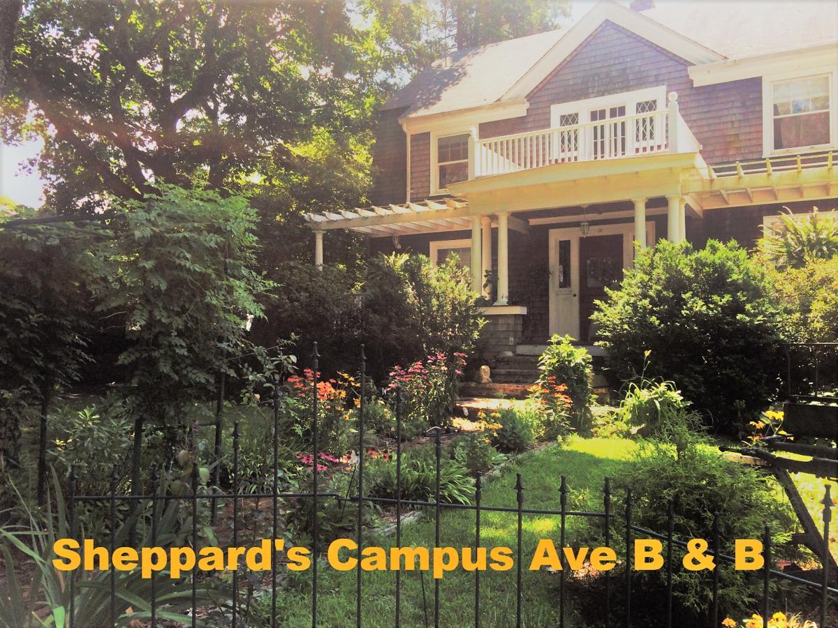 Sheppard'S Campus B&B Kingston ภายนอก รูปภาพ
